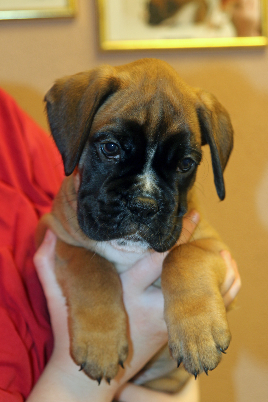 kl x melissa kopf 050