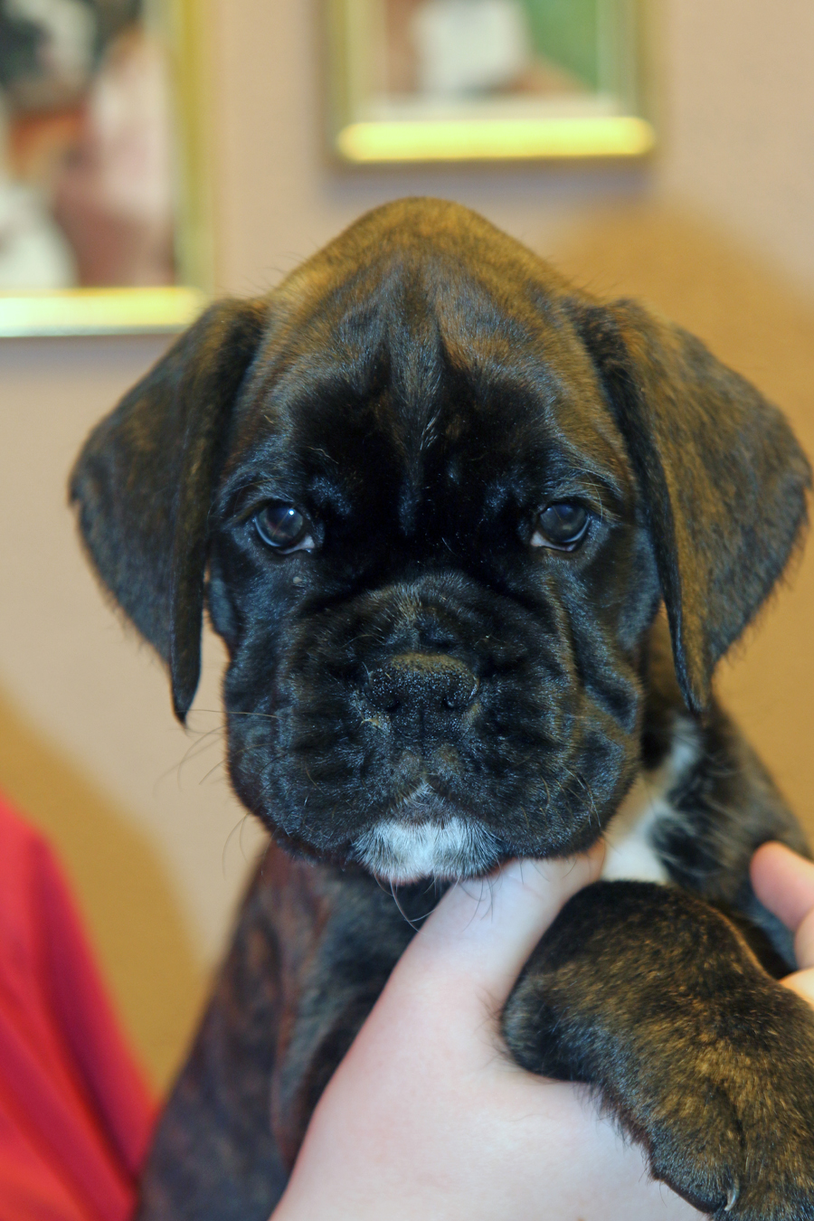 kl x mona lisa kopf 064