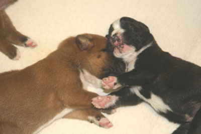 kuscheln_9_tage_klein