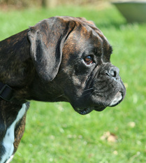 n4aZNYPwQjdQsHOVjz5Ne1UlqPlwn0BtAujd5RFI0yo,