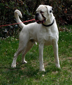 puma stand kl puma stand kl