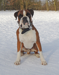 tadeus-frieder 2013 1 kl kl