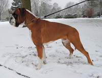 tadeus-frieder 2013 kl kl