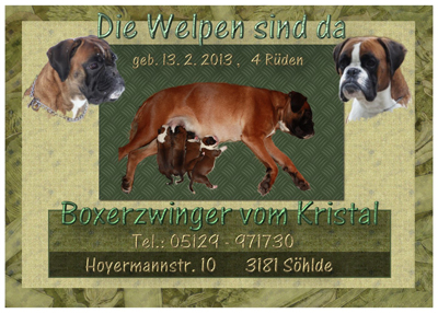 wurf nach dunja 2013 klein