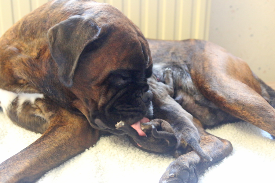 x IMG_3192 Popopflege