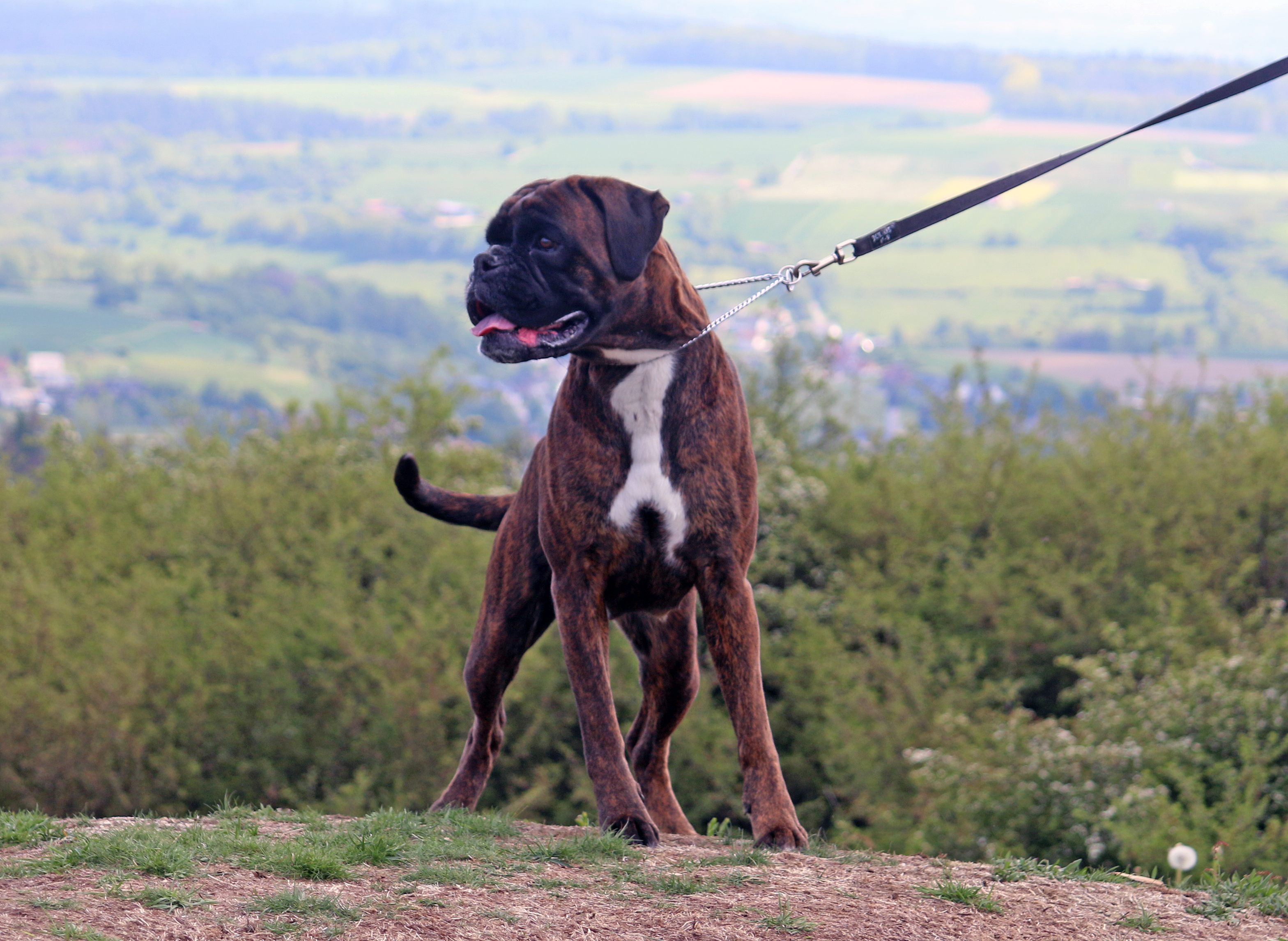 x Isabell 4 IMG_5786