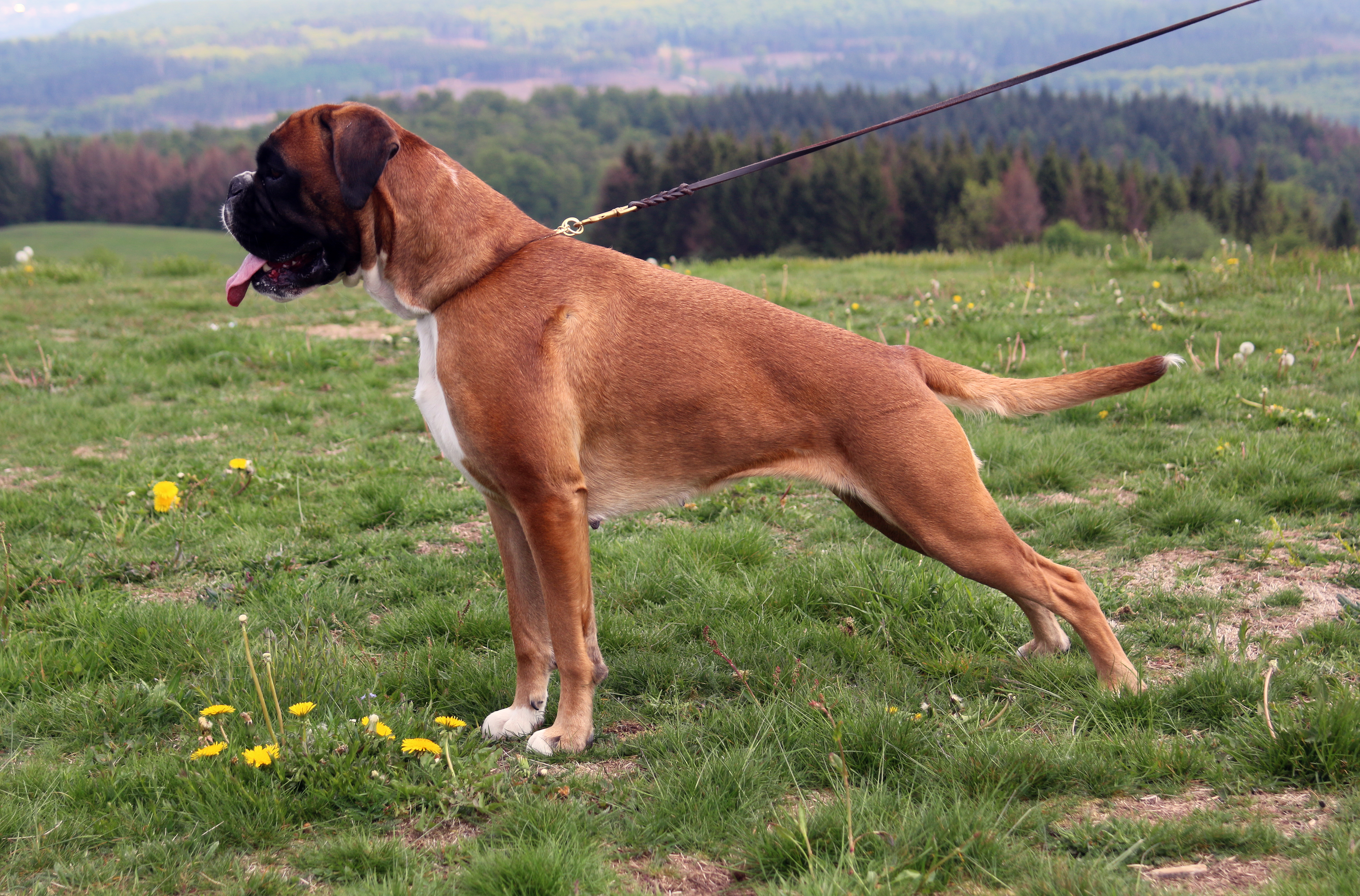 x Lisbeth 1 IMG_5723