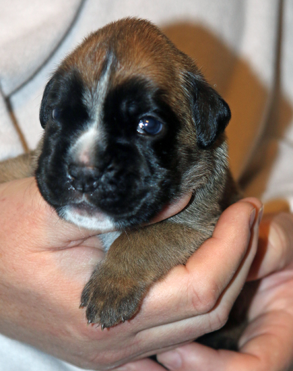 x Melissa IMG_7442 klein