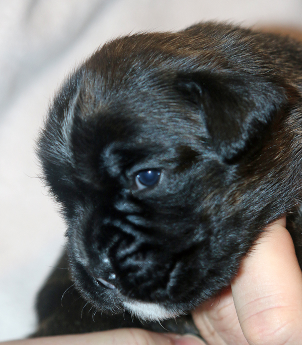 x Mona Lisa IMG_7458 klein