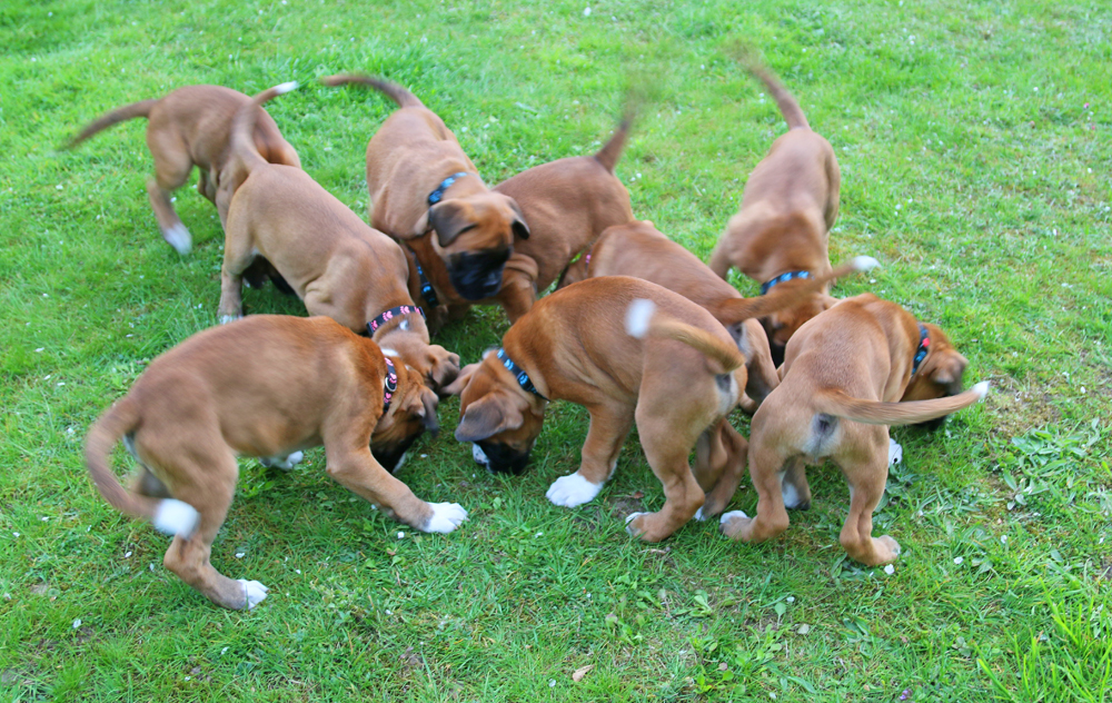 x futtersuche IMG_3763 klein