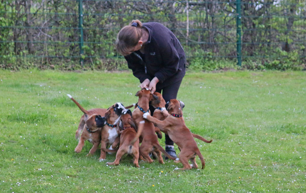 x hier IMG_3899 klein