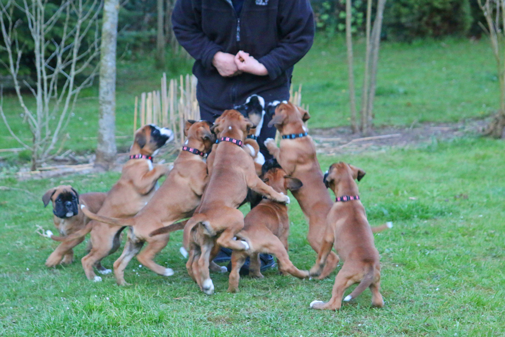 x hier IMG_3925 klein