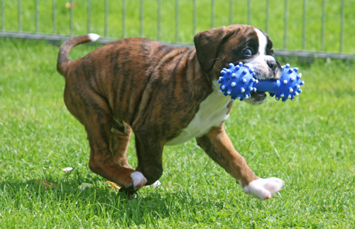 x kl IMG_6666 - Kopie