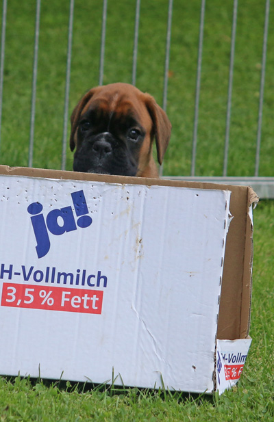 x kl IMG_6676 - Kopie