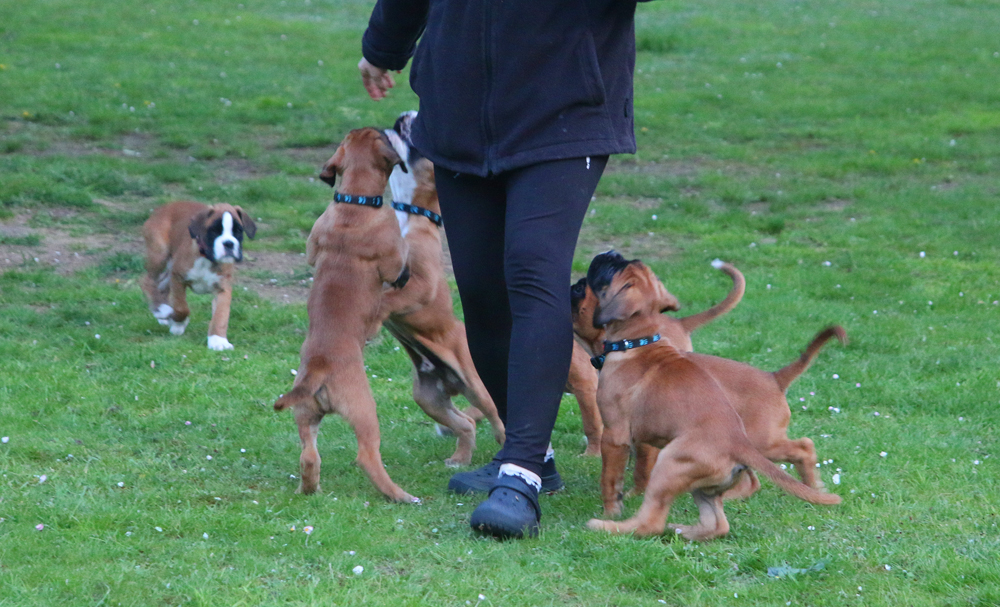 x laufeb IMG_3916 klein