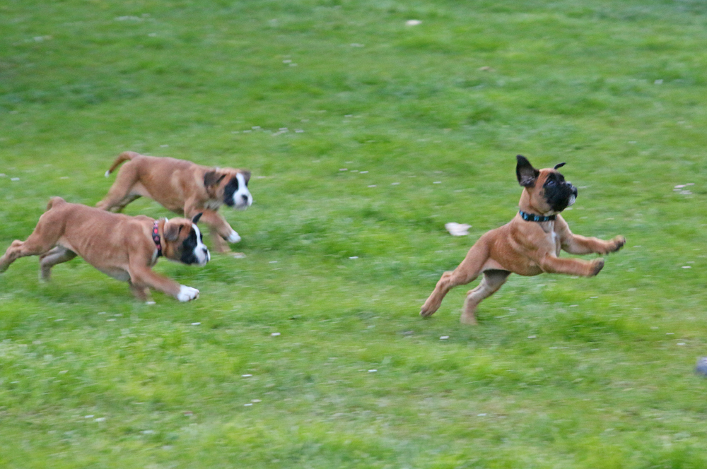 x laufen IMG_3867 klein