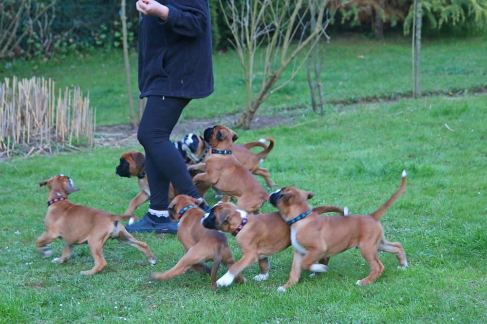 x laufen IMG_3922 klein