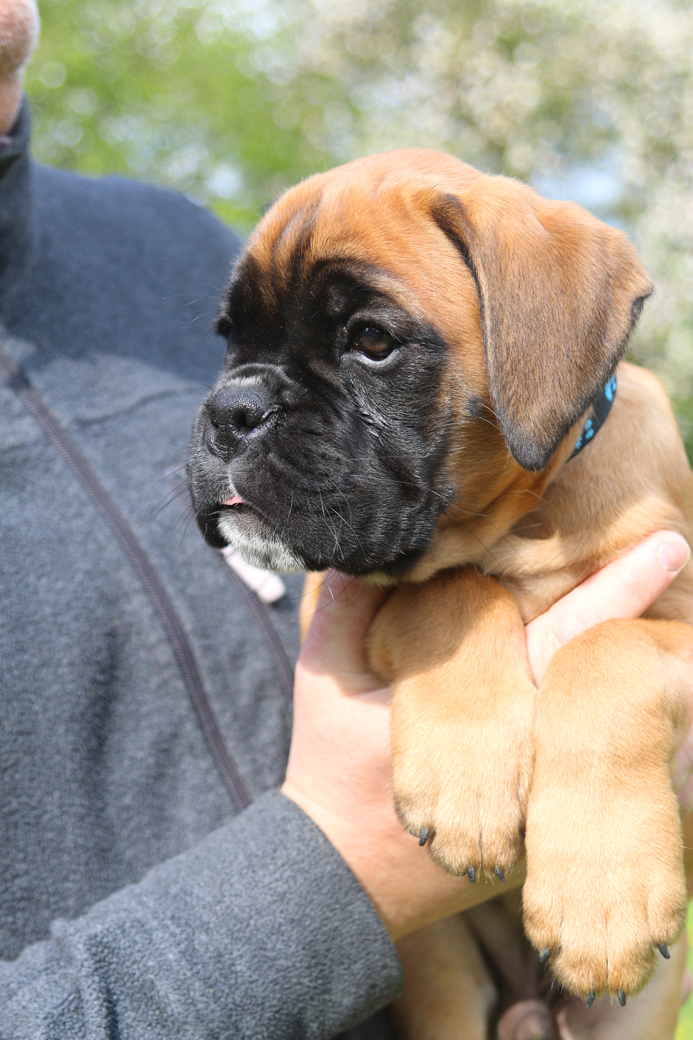 x oberst IMG_4022 klein