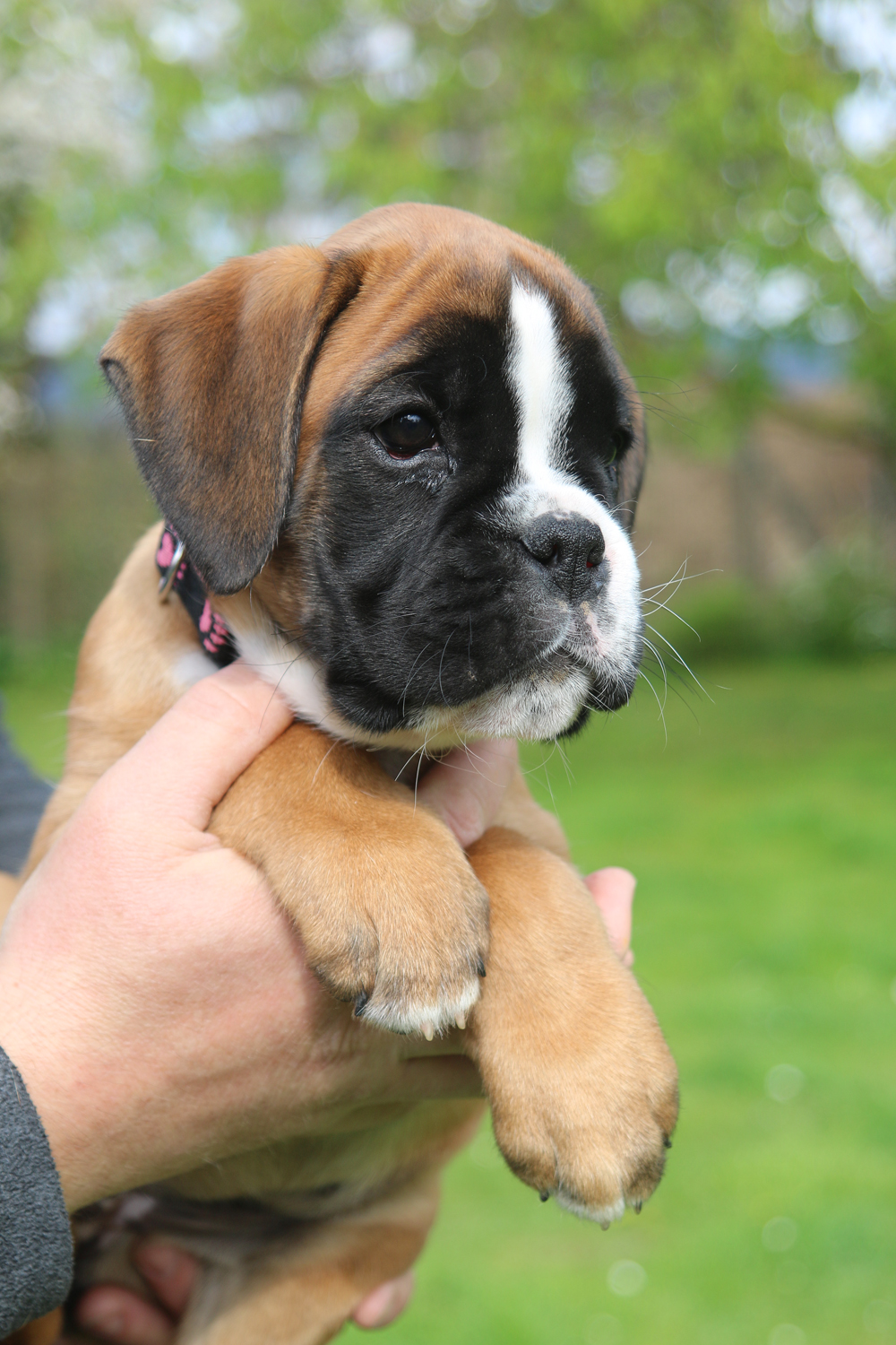 x olga IMG_4079 klein