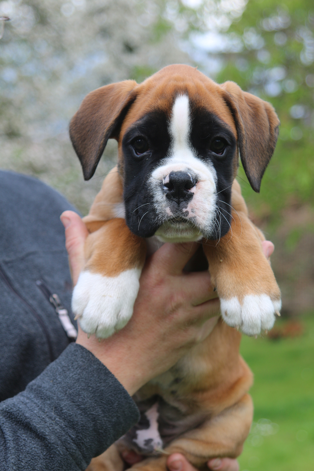 x olino IMG_4044 klein