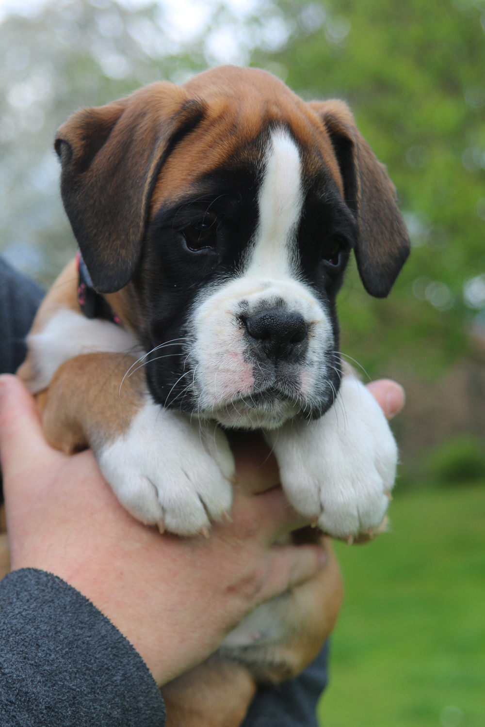 x olympia IMG_4059 klein