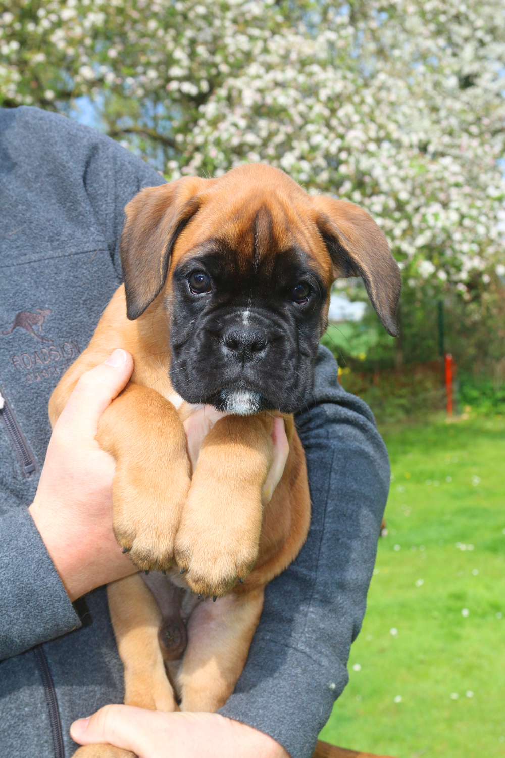 x oskar IMG_4000 klein