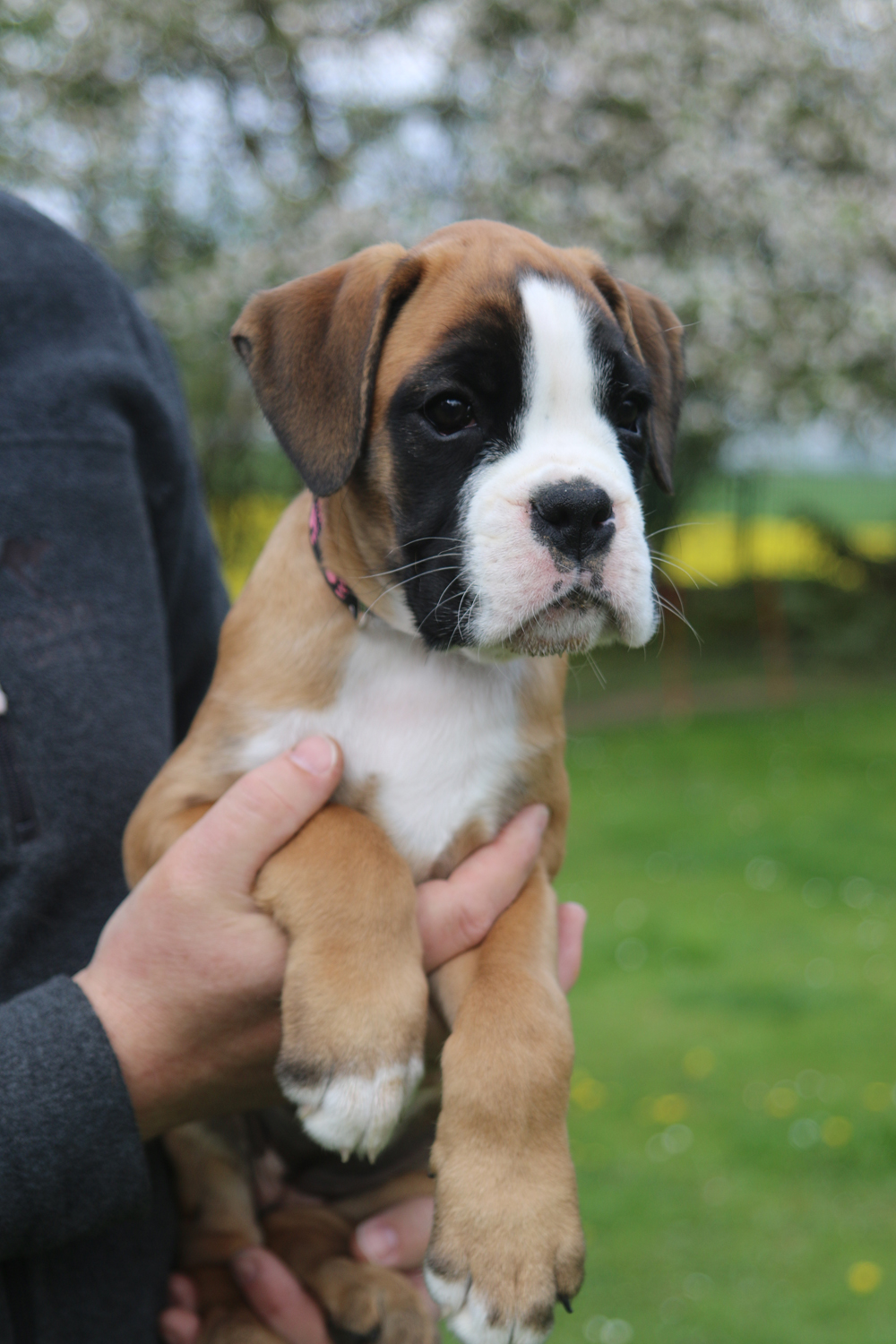 x otti IMG_4065 klein