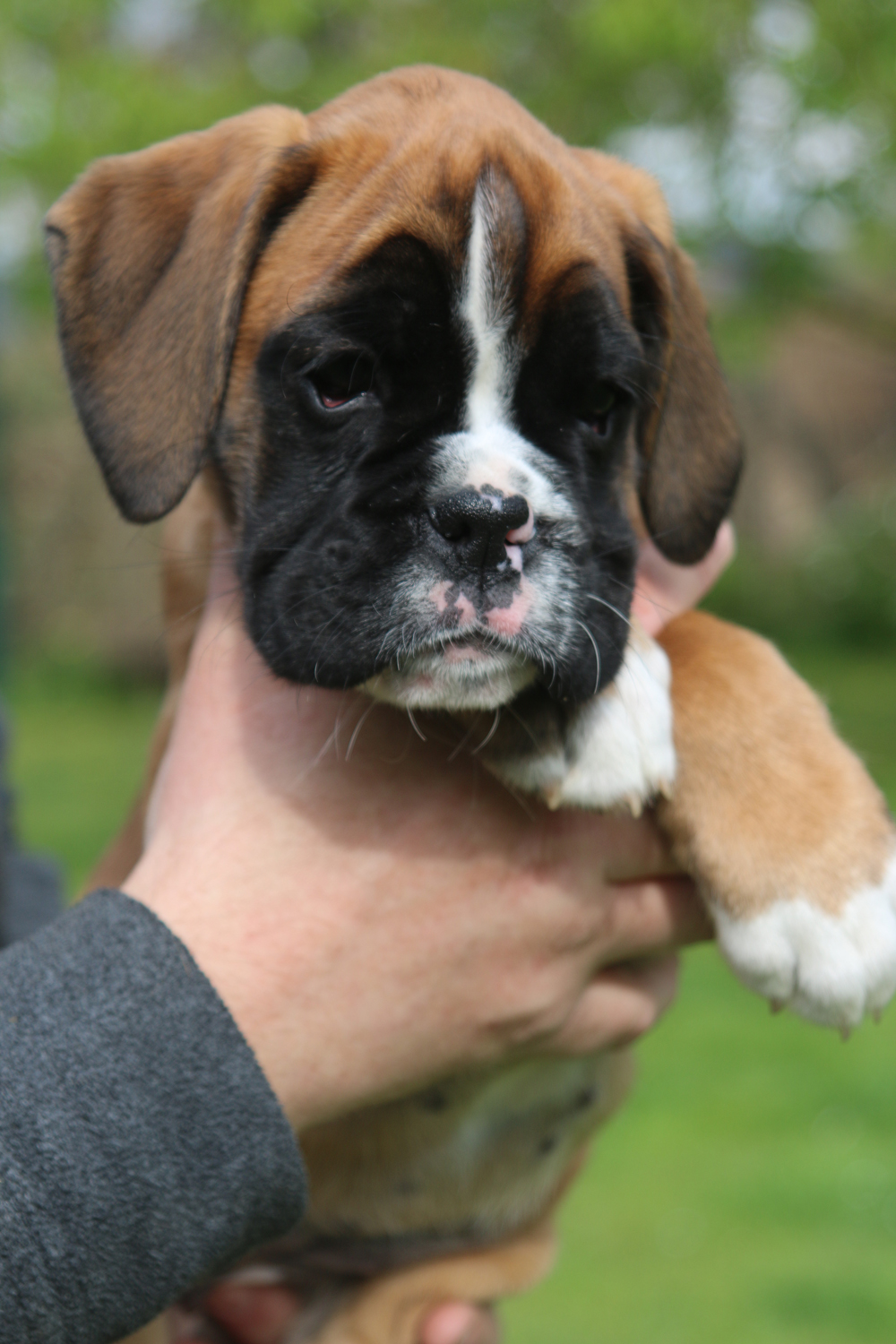 x oxy IMG_4093 klein