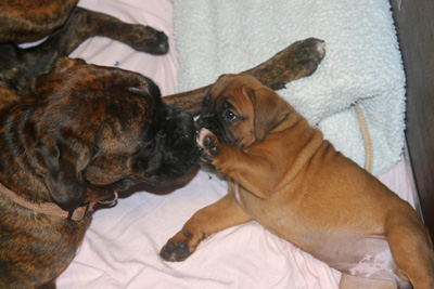 xx jule isabell IMG_6250