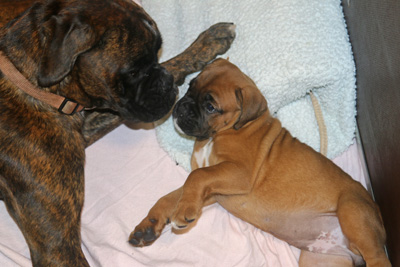 xx jule isabell IMG_6252