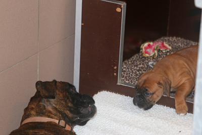 xx jule isabell IMG_6270