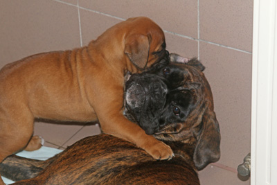 xx jule isabell IMG_6360