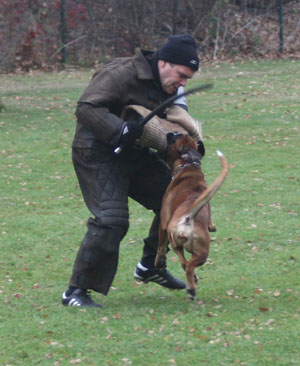 ztp donella 4 klein1