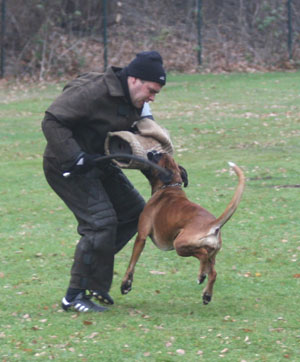 ztp donella 5 klein ztp donella 5 klein