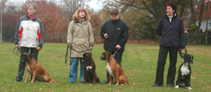 ztp gruppe 2 klein ztp gruppe 2 klein